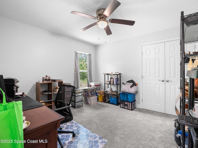 806 Natroma Ave SW, Palm Bay, FL 32908 - photo 25