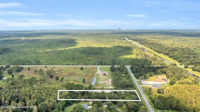 19116 Quinella St, Orlando, FL 32833 - photo 2