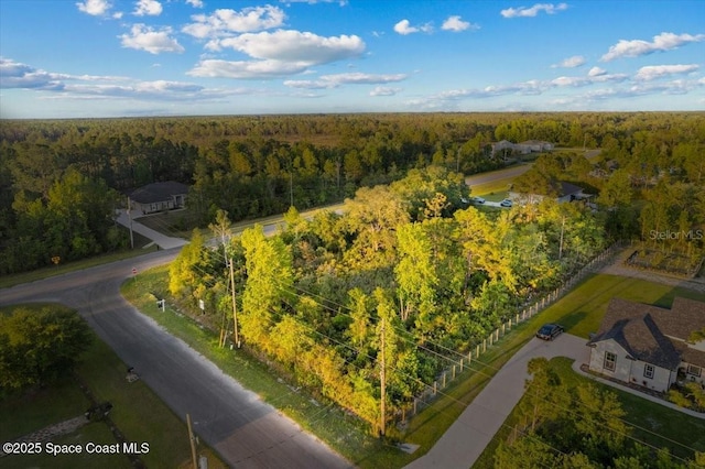 4320 Bancroft Blvd, Orlando, FL 32833 - photo 38