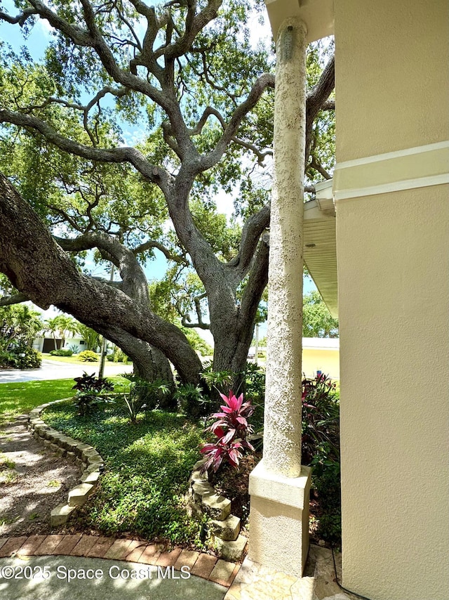 52 Riverview Ln, Cocoa Beach, FL 32931 - view of yard
