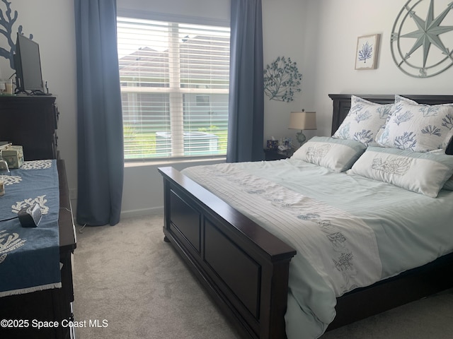 1099 Corbin Cir SW, Palm Bay, FL 32908 - photo 28