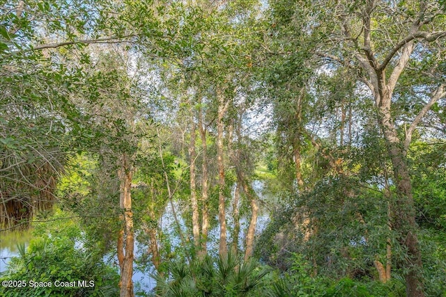 1390 Isabella Dr Unit 106, Melbourne, FL 32935 - water view