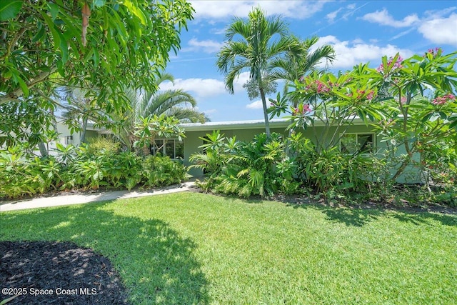 212 Ormond Dr, Indialantic, FL 32903 - view of green lawn