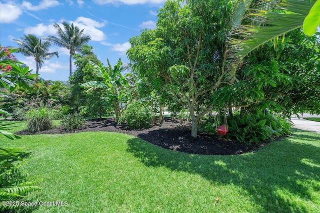 212 Ormond Dr, Indialantic, FL 32903 - view of grassy yard