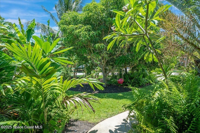 212 Ormond Dr, Indialantic, FL 32903 - view of yard
