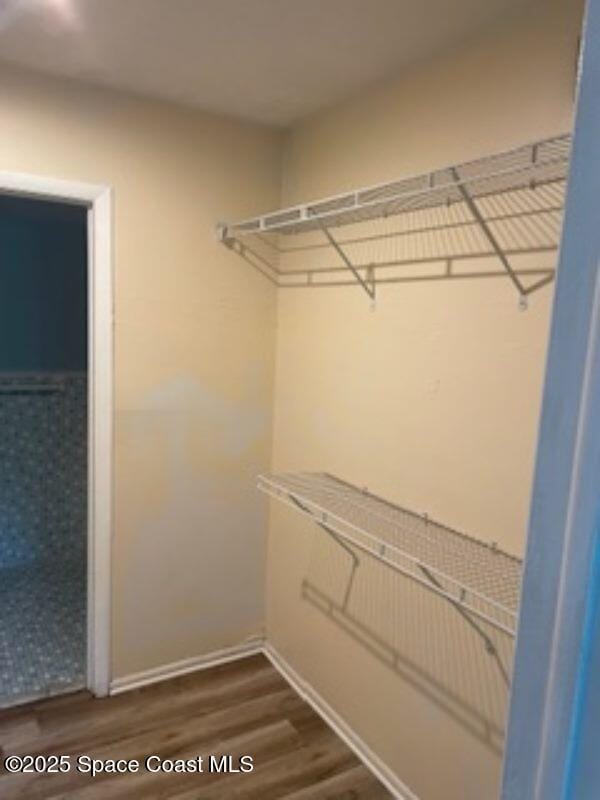 230 Columbia Dr Unit 208, Cape Canaveral, FL 32920 - spacious closet featuring dark wood finished floors