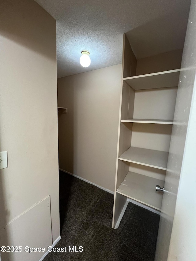 800 N Fiske Blvd Unit 613, Cocoa, FL 32922 - walk in closet featuring carpet