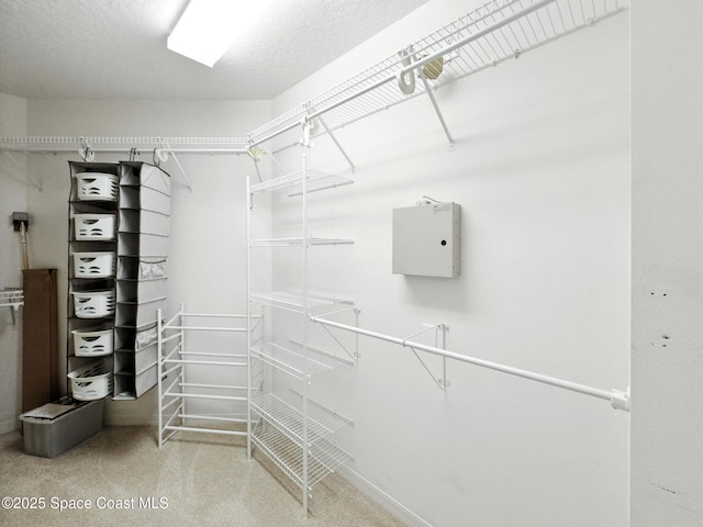 7927 Citrus Creek Dr, Melbourne, FL 32940 - view of walk in closet