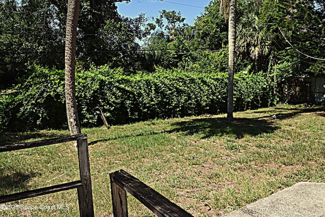 2508 Palmetto Dr, Cocoa, FL 32926 - view of yard