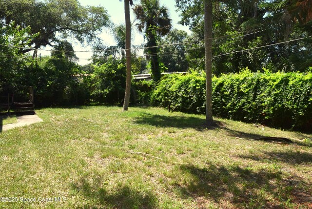 2508 Palmetto Dr, Cocoa, FL 32926 - view of green lawn