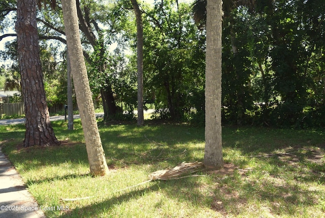2508 Palmetto Dr, Cocoa, FL 32926 - view of yard