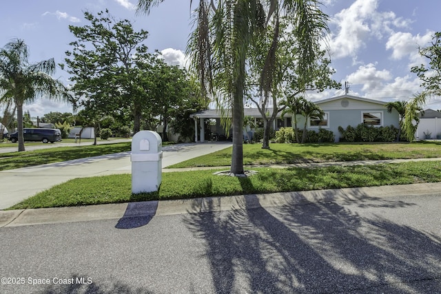 449 Amity Ave, Cocoa, FL 32927 - view of front of property with concrete driveway, a front yard, and an attached carport