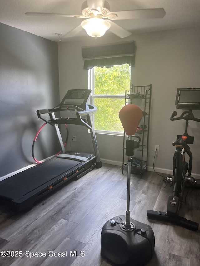 1015 Swiss Pointe Ln, Rockledge, FL 32955 - workout room featuring wood finished floors and a ceiling fan