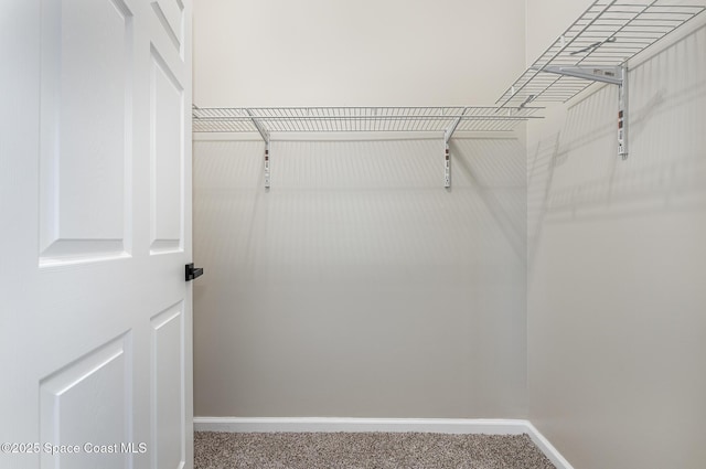 130 Cameron St SE, Palm Bay, FL 32909 - spacious closet featuring carpet floors