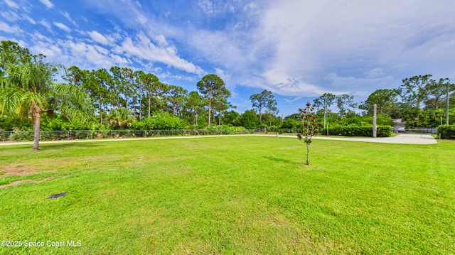 3200 Grant Rd, Grant-Valkaria, FL 32949 - view of yard with view of scattered trees