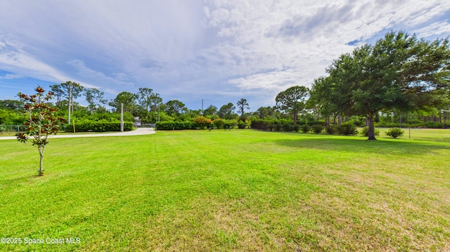 3200 Grant Rd, Grant-Valkaria, FL 32949 - view of grassy yard with view of scattered trees