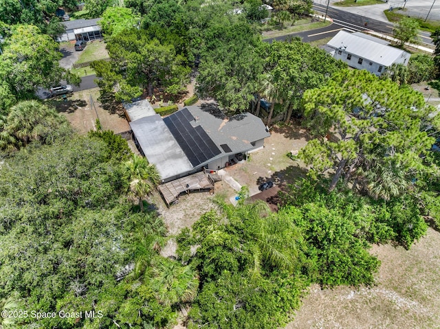 1714 Blanche Ave, Melbourne, FL 32934 - aerial view of a tree filled landscape