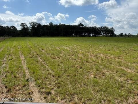 0 Walker Rd, Bonifay, FL 32425 - photo 4