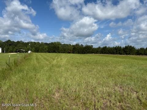 0 Walker Rd, Bonifay, FL 32425 - photo 5