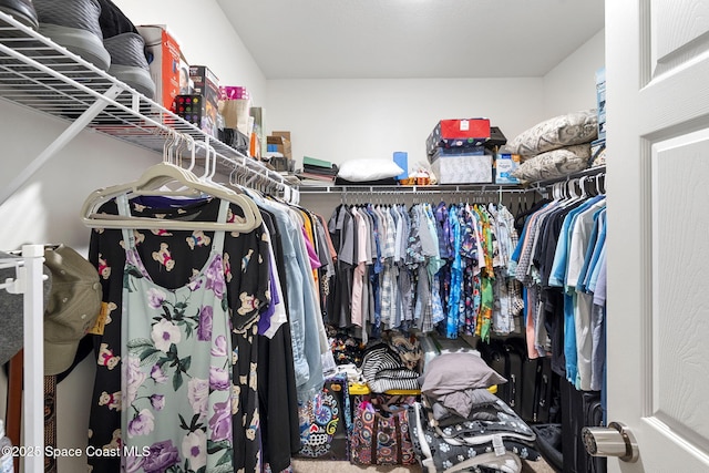 3724 Sandhill Crane Cir, Mims, FL 32754 - view of walk in closet