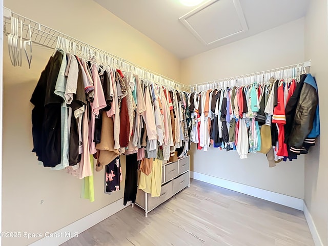 1870 Long Iron Dr Unit 1225, Rockledge, FL 32955 - spacious closet with attic access and wood finished floors