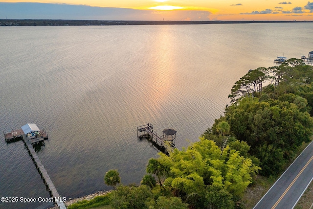 1250 Aranceto Cir, Merritt Island, FL 32952 - photo 45