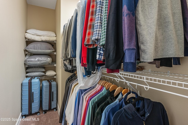 7873 Desmond Ave, Melbourne, FL 32940 - spacious closet with carpet floors