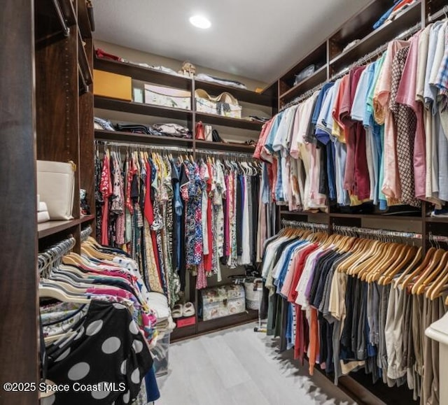 7873 Desmond Ave, Melbourne, FL 32940 - view of walk in closet