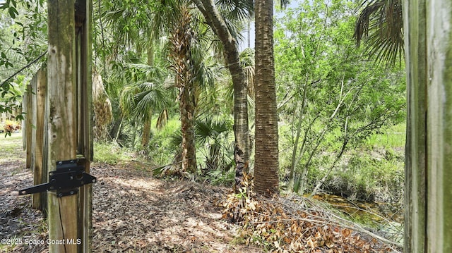 4060 Aria Dr, Melbourne, FL 32904 - view of local wilderness