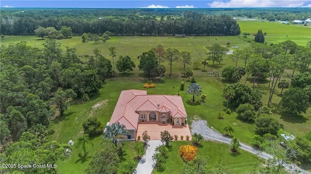 10750 146th Ave, Fellsmere, FL 32948 - photo 3