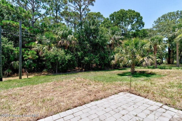 461 Coply Ter, Sebastian, FL 32958 - view of green lawn featuring a patio area and view of scattered trees