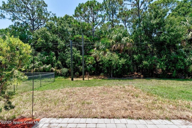 461 Coply Ter, Sebastian, FL 32958 - view of yard