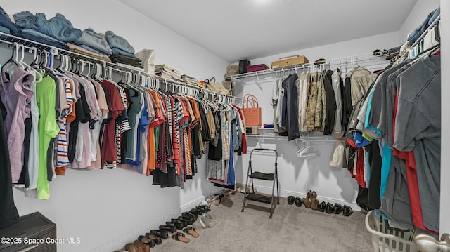 6830 Harp Ave, Cocoa, FL 32927 - walk in closet with carpet flooring