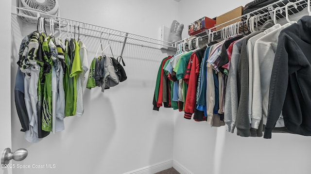 6830 Harp Ave, Cocoa, FL 32927 - view of walk in closet