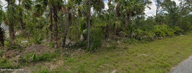 14218 Luxo Ave, Port Charlotte, FL 33953 - photo 4