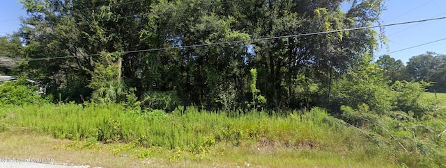0000 NW 15th Ln, Ocala, FL 34482 - photo 2