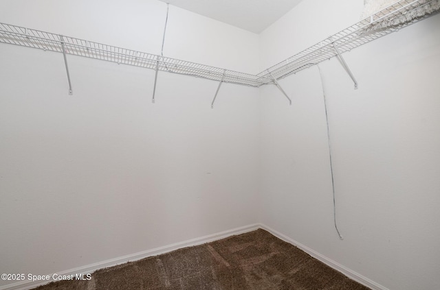 2383 Glasbern Cir, Melbourne, FL 32904 - walk in closet with dark colored carpet