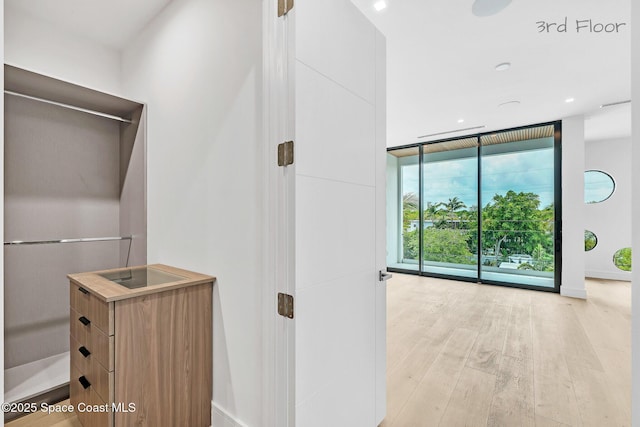 16 Seaside Ave, Key Largo, FL 33037 - walk in closet with light wood-style floors