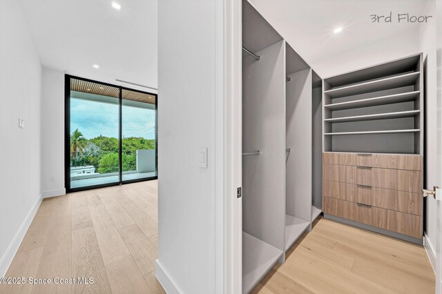 16 Seaside Ave, Key Largo, FL 33037 - walk in closet with light wood-style floors