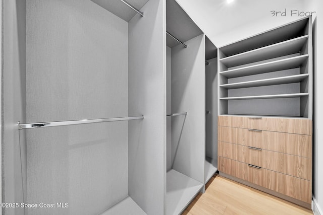 16 Seaside Ave, Key Largo, FL 33037 - walk in closet with light wood-style floors