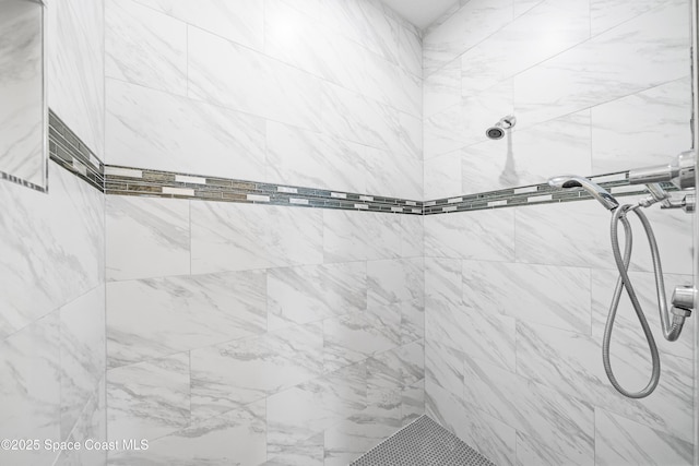 156 Puddle Duck Ln, Grant-Valkaria, FL 32909 - full bathroom with a tile shower