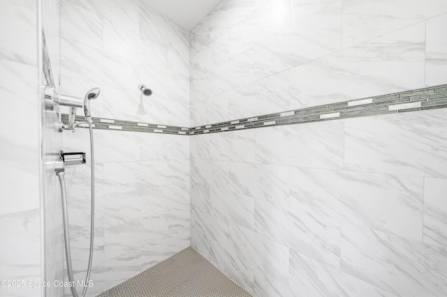 156 Puddle Duck Ln, Grant-Valkaria, FL 32909 - full bath with tiled shower