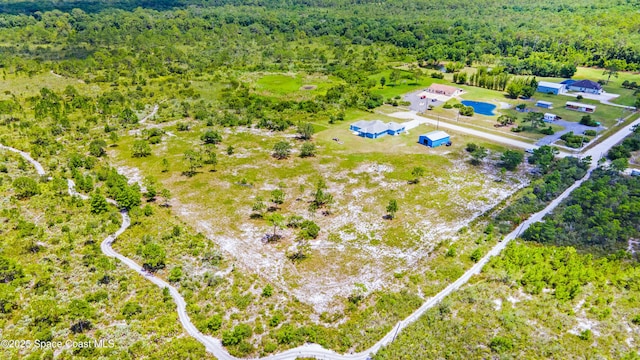 156 Puddle Duck Ln, Grant-Valkaria, FL 32909 - aerial view of a forest