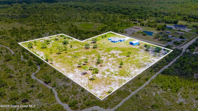 156 Puddle Duck Ln, Grant-Valkaria, FL 32909 - aerial view of property's location featuring a forest and property boundaries highlighted