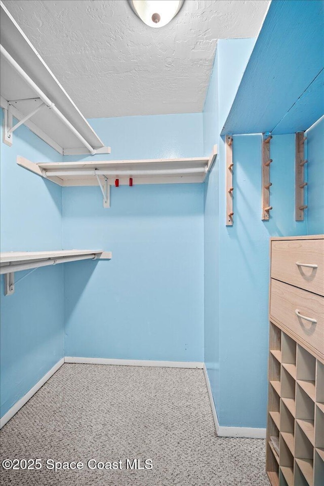 3664 Longbow Rd, Cocoa, FL 32926 - walk in closet with carpet