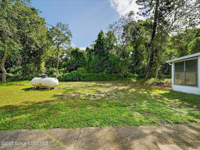 3116 Winchester Dr, Cocoa, FL 32926 - view of yard