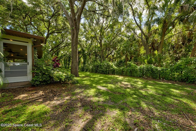 6065 Balboa St, Cocoa, FL 32927 - view of green lawn