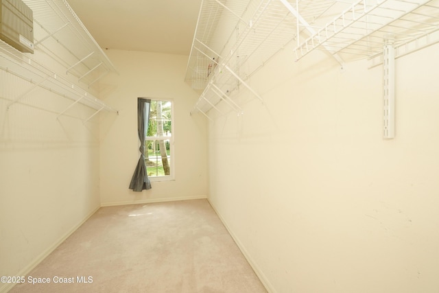 401 Stonehenge Cir, Rockledge, FL 32955 - spacious closet with light colored carpet