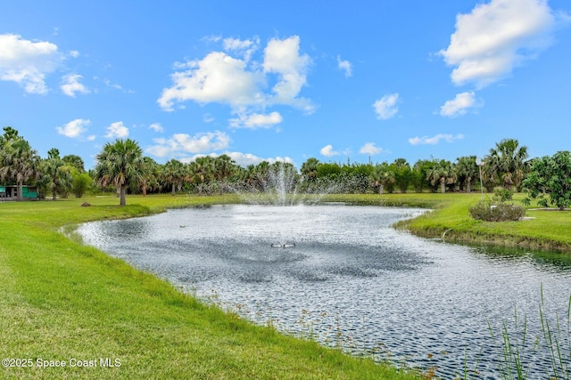 2141 Madden Ave SW, Palm Bay, FL 32908 - photo 47