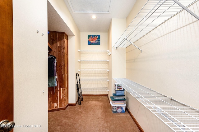 3717 SW Bayfield St, Cocoa, FL 32926 - spacious closet featuring carpet